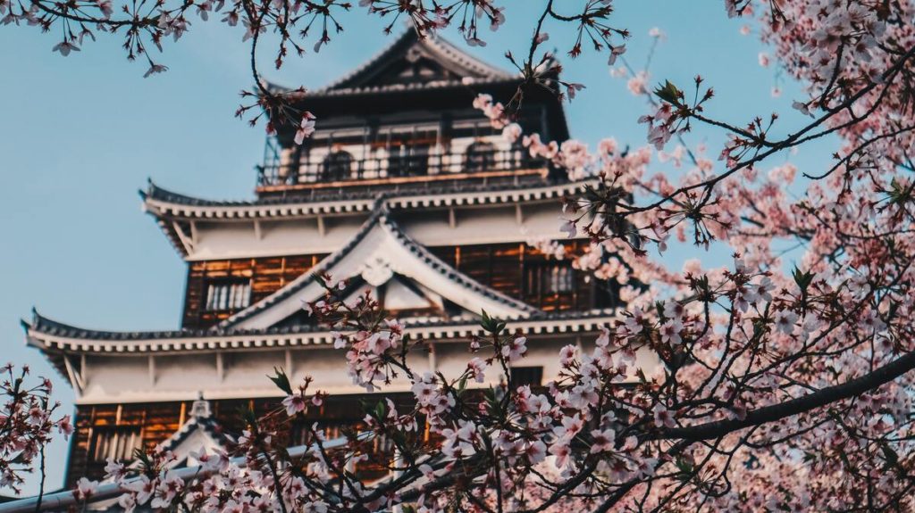 cherry blossom, festival, japan