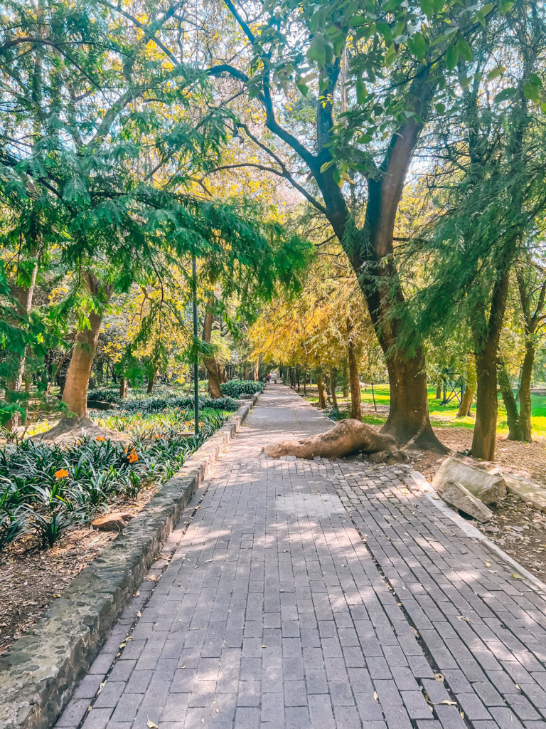 Photo of a path in Chapultepec Park