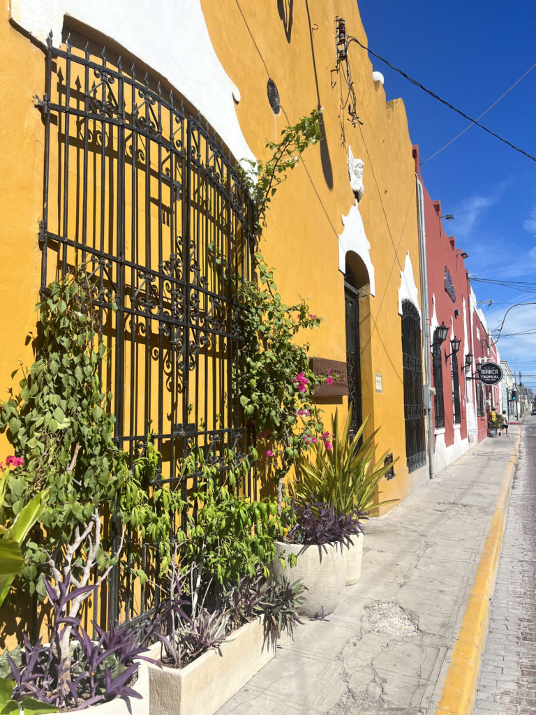 colourful buildings with plants on in the streets of merida