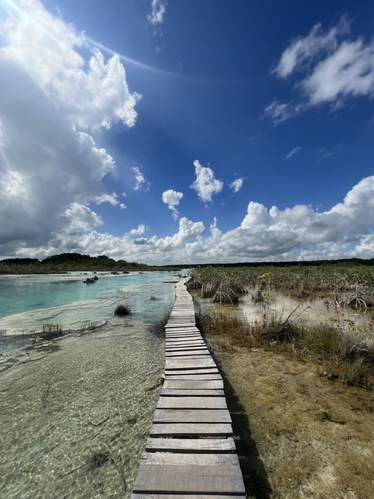 Photo of a boardwalk one side is Los Rapidos with crystal clear and blue waters and on the other side is the mangroves