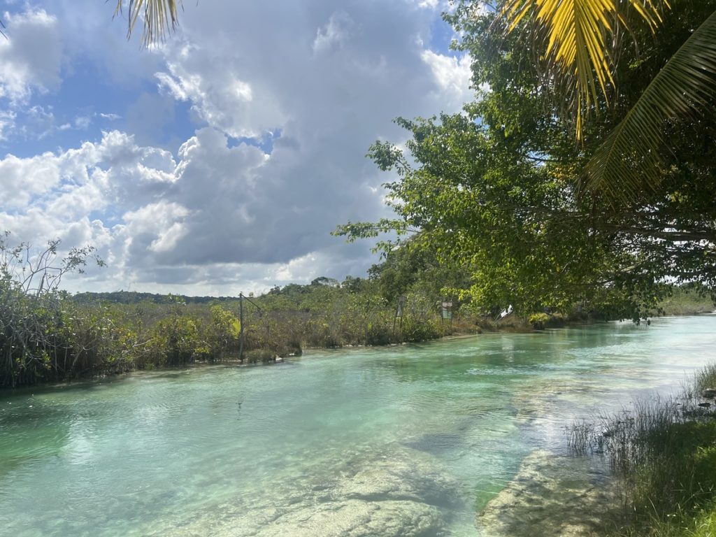 A photo showing the rich blue colours of the water at Los Rapidos in Bacalar, Mexico
