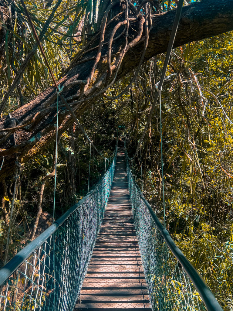 photo of a hanging bridge surrounded by forest in the Reserva Natural Atitlán