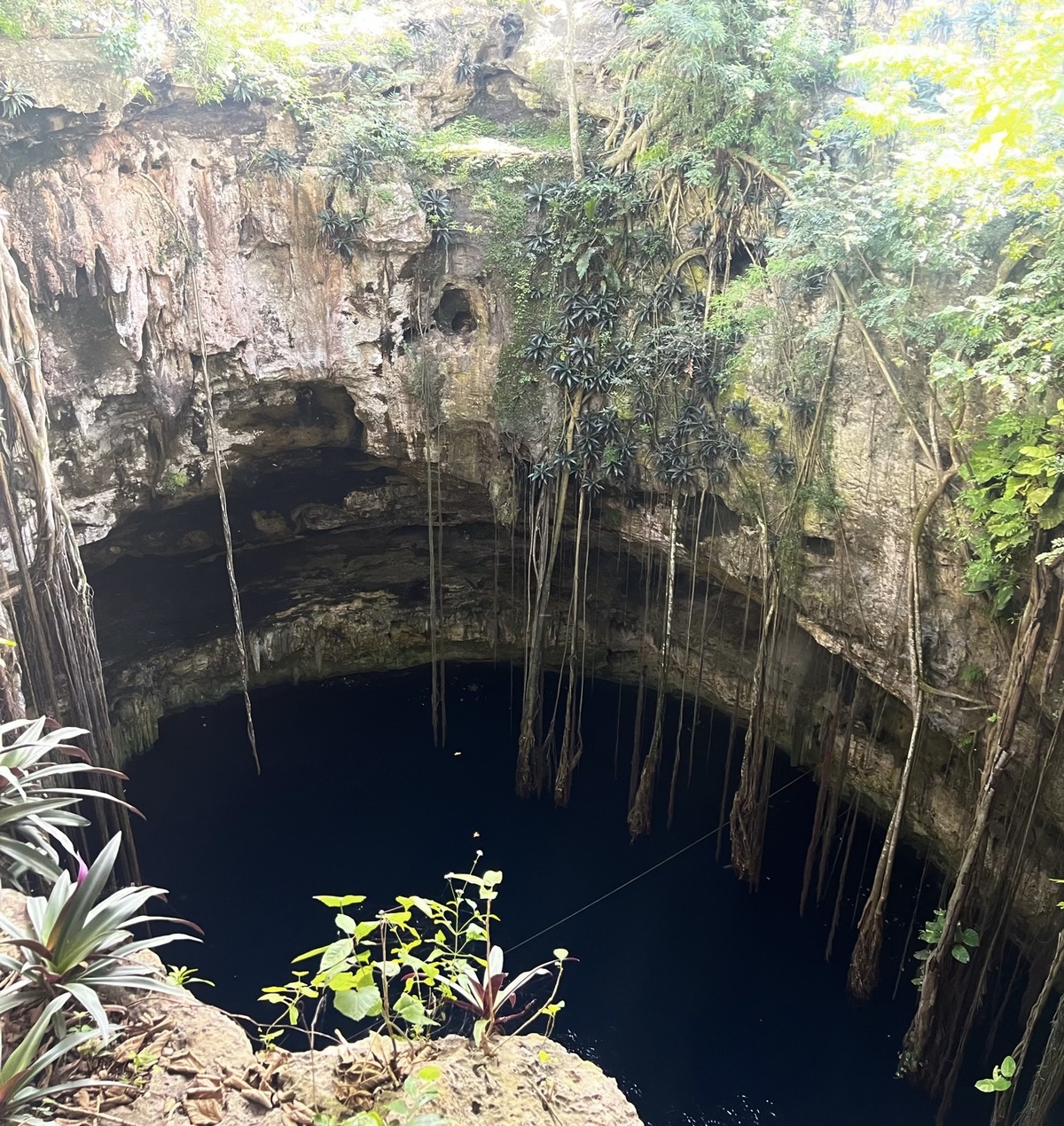 view of cenote oxman from above