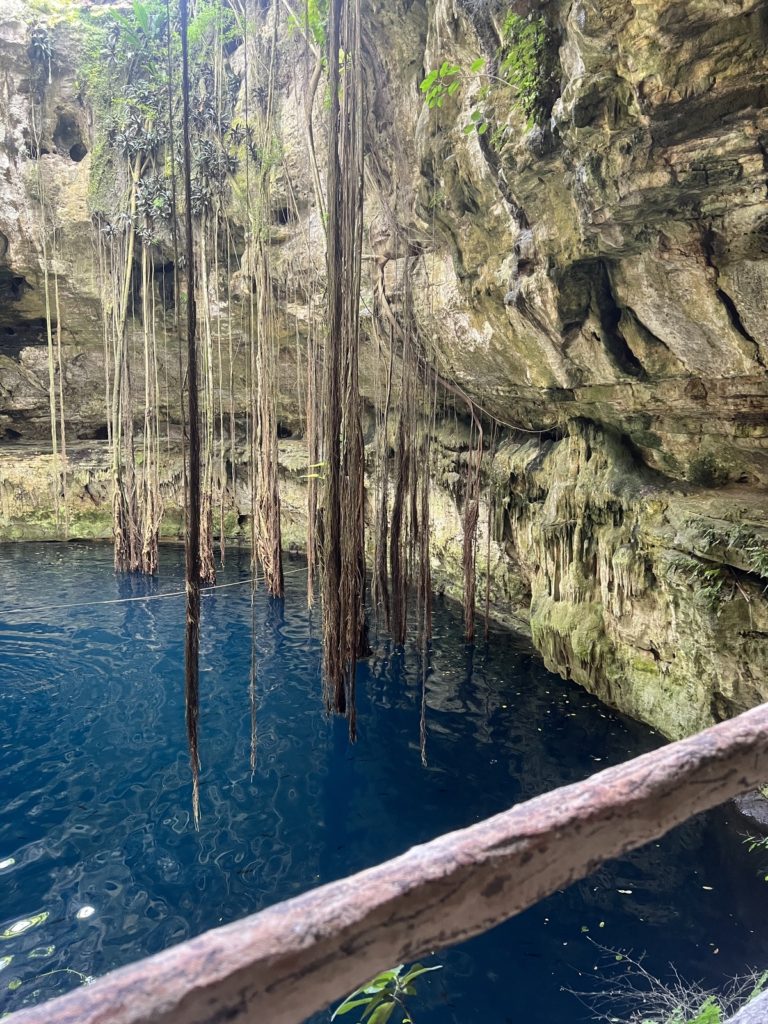 photo of the hanging vines and blue water in cenote oxman, mexico