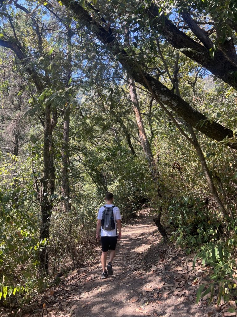 photo showing a walking trail at Atitlan Nature Reserve 