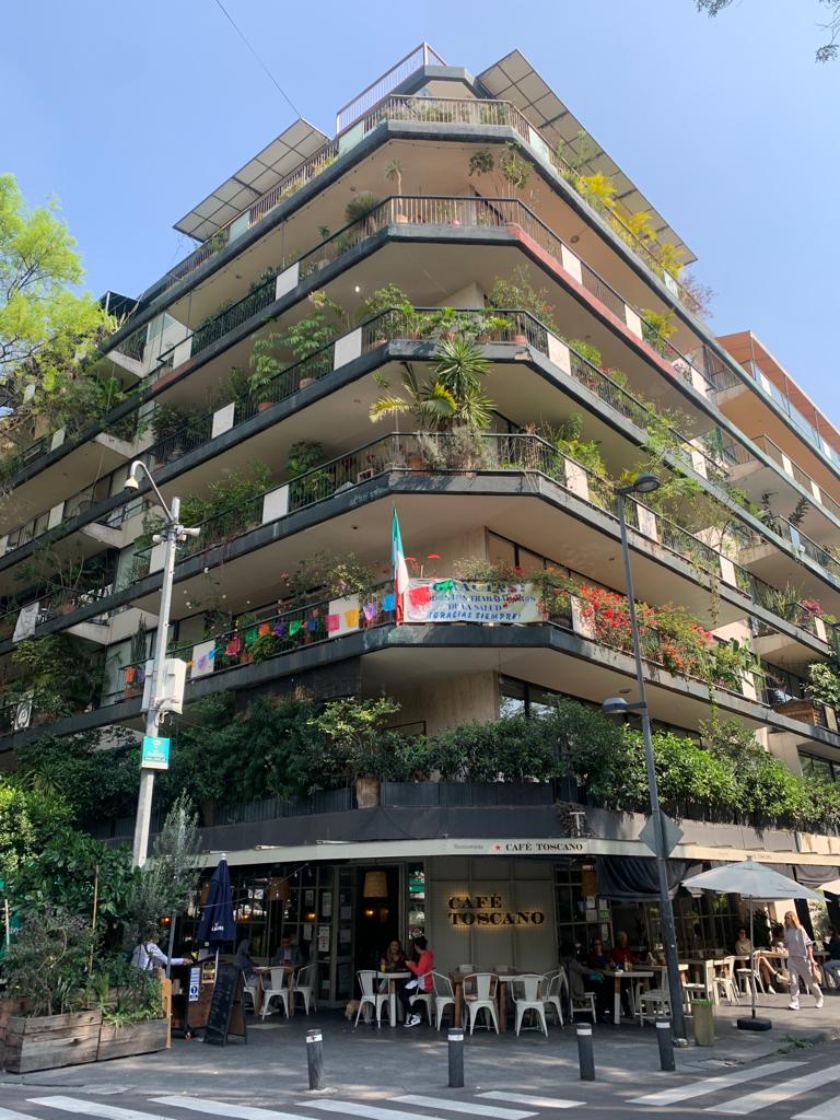 A very plant heavy apartment complex in the neighbourhood of Roma Norte in CDMX