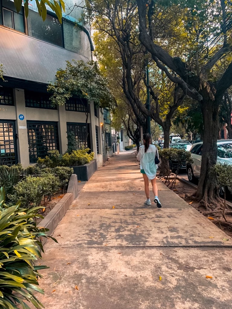 A photo showing me walking down a street in Condesa, Mexico City