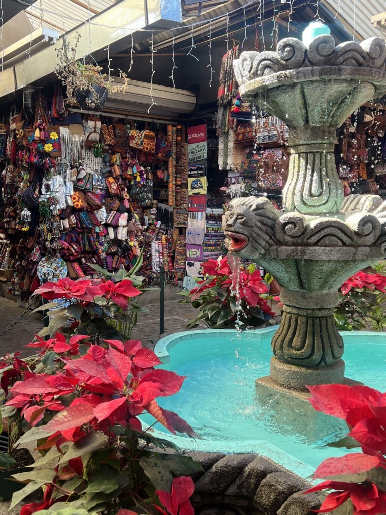 photo with a fountain and flowers in the foreground with market stalls in the background