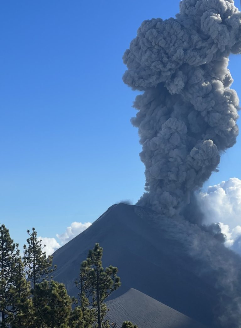 photo showing a large eruption from volcano fuego, with trees in the lower left corner
