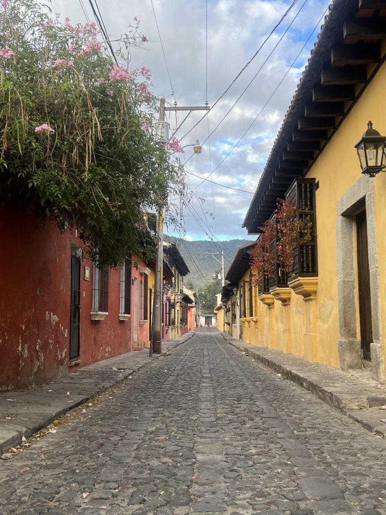 photo of cobbled streets in Antigua with colourful buildings along the side with some plants