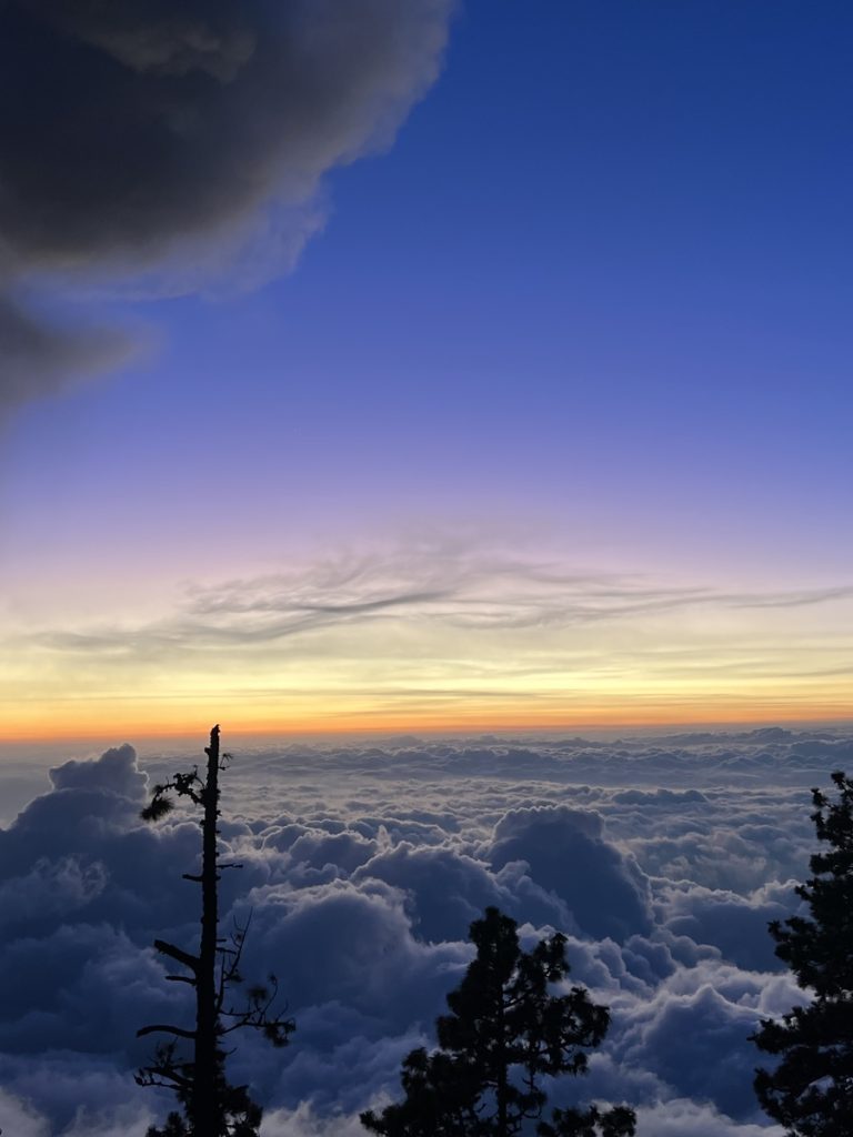 a photo just after sunset above the clouds. showing fluffy clouds and a purple sky that blends pink then yellow then orange