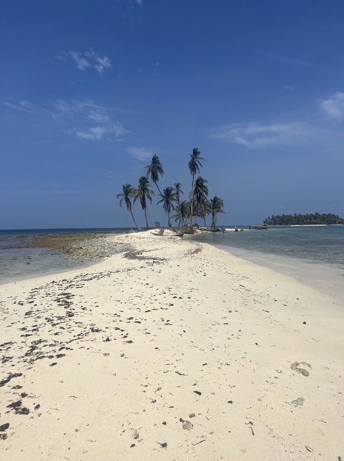 photo of a sand bar leading to a few sparse trees and the ocean on the sides