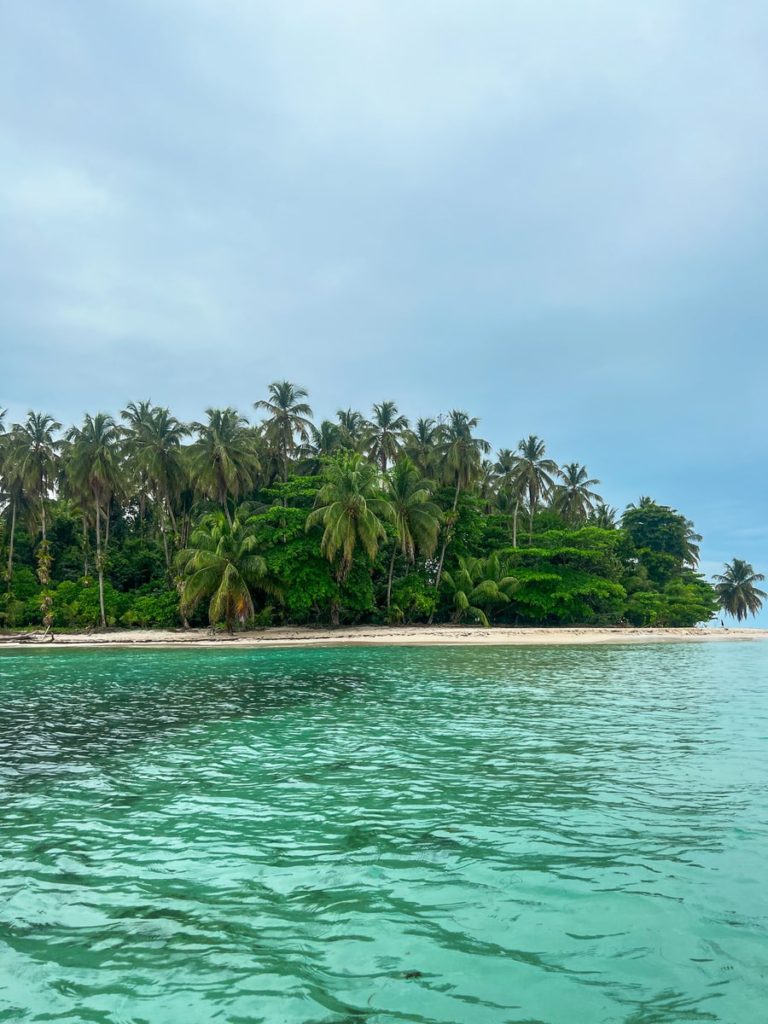photo of a san blas island covered in palm trees, with the sandy beach and blue waters surrounding