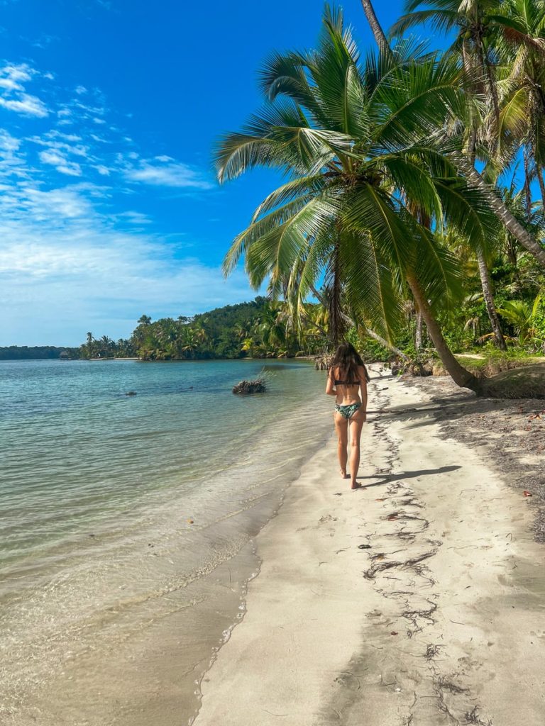 photo of beach with some saweed, a palm tree and a girl walking away from the camera
