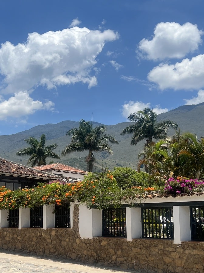 3 palm trees in the middle with flower filled gates in the foreground