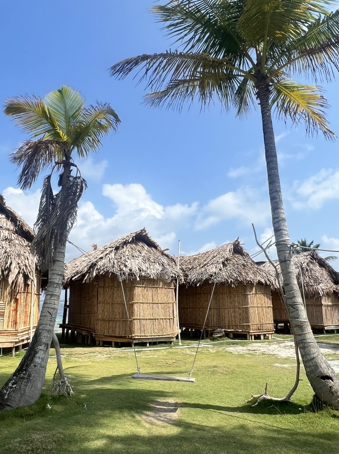 two palm trees with a swing in between and small huts with straw roof in the background