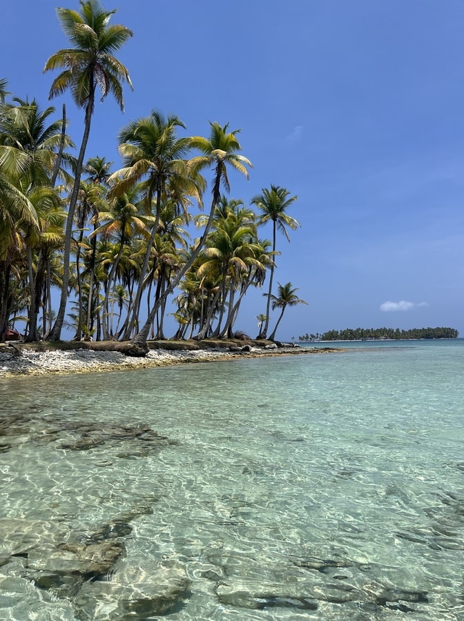 photo of crystal clear light blue water with coconut trees lining the island in the top left