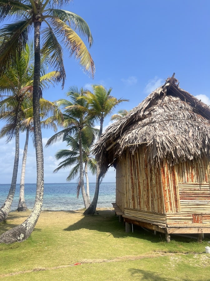 a hut with straw roof on the right, with a few palm trees on the left with green grass below and sea in the distance