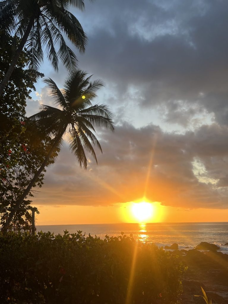 the sunrise on a cloudy morning in montezuma with coconut trees to the left and rocks in the foreground