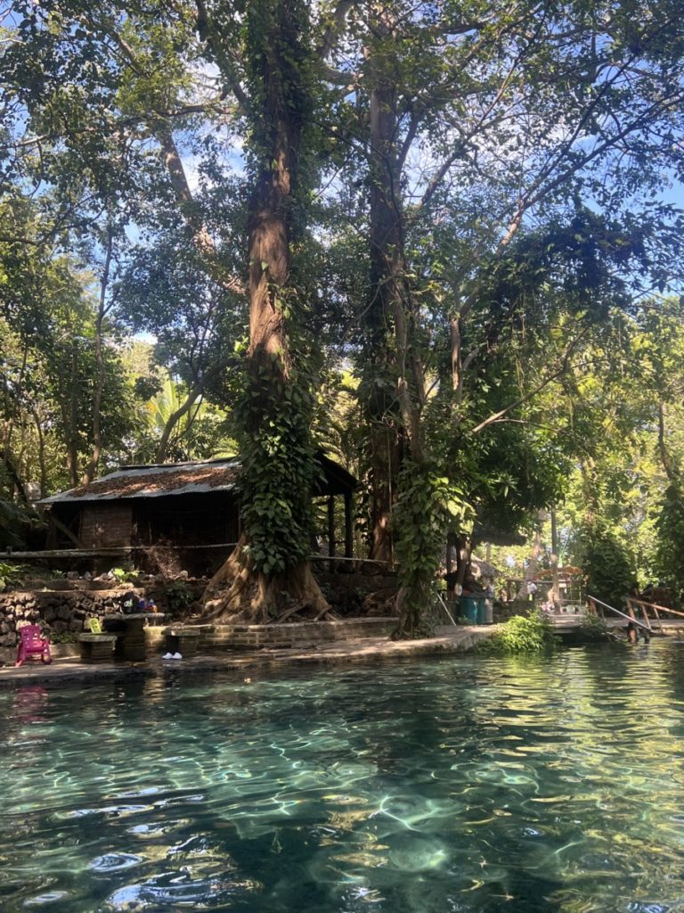 a view from the end of the pool at ojo de agua with large trees in the background