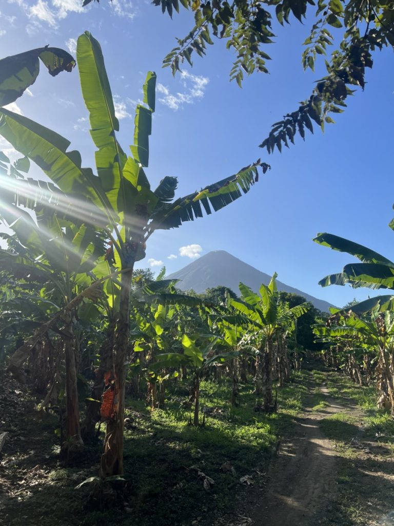 Ometepe Island, Nicaragua: Mini Travel Guide