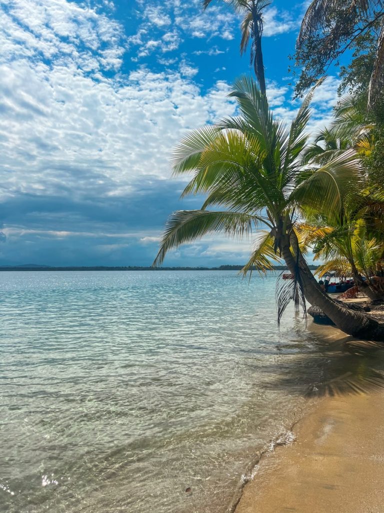 photo of the sea with palm trees in top corner. broken clouds in the blue sky