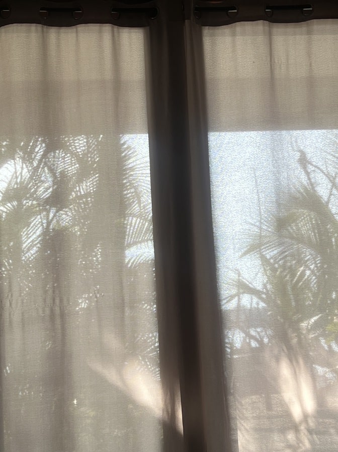 photo of view from our room at skullys, light curtains showing the palm trees and blue sky