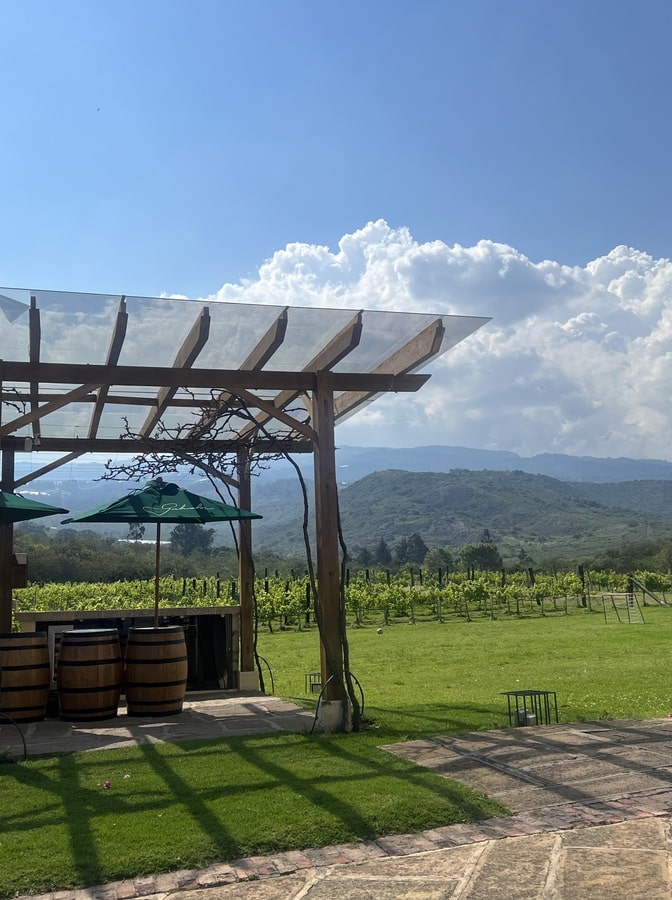 photo of barrels and umbrellas under an awning with vineyards in the distance