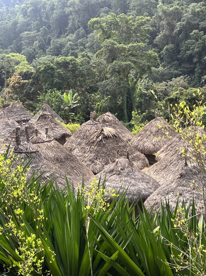 photo of woven huts a typical wiwa village on lost city trek