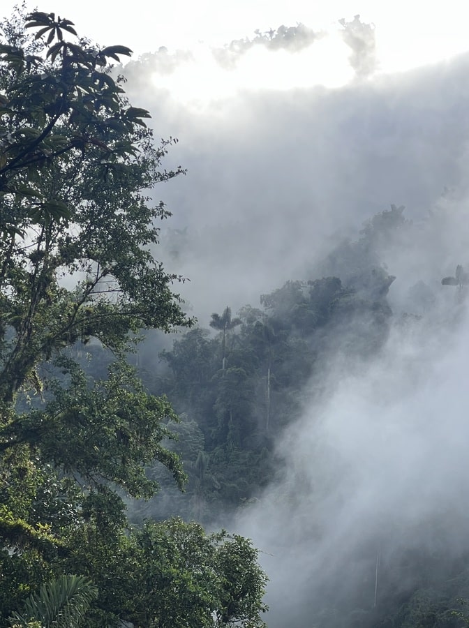 photo of the mountains of the sierra nevada de santa marta hidden in passing clouds