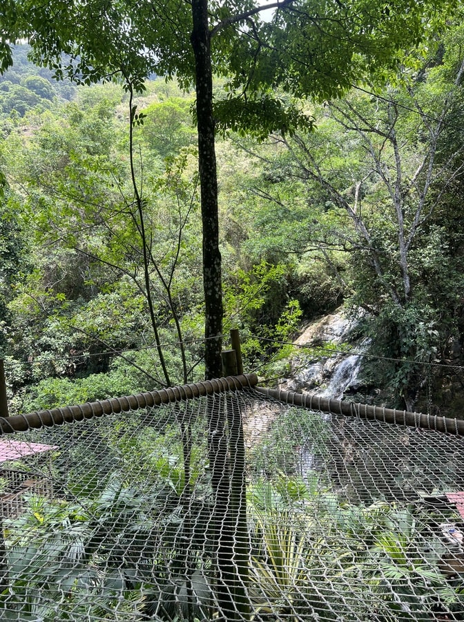 photo of net in minca surrounded by jungle and waterfall