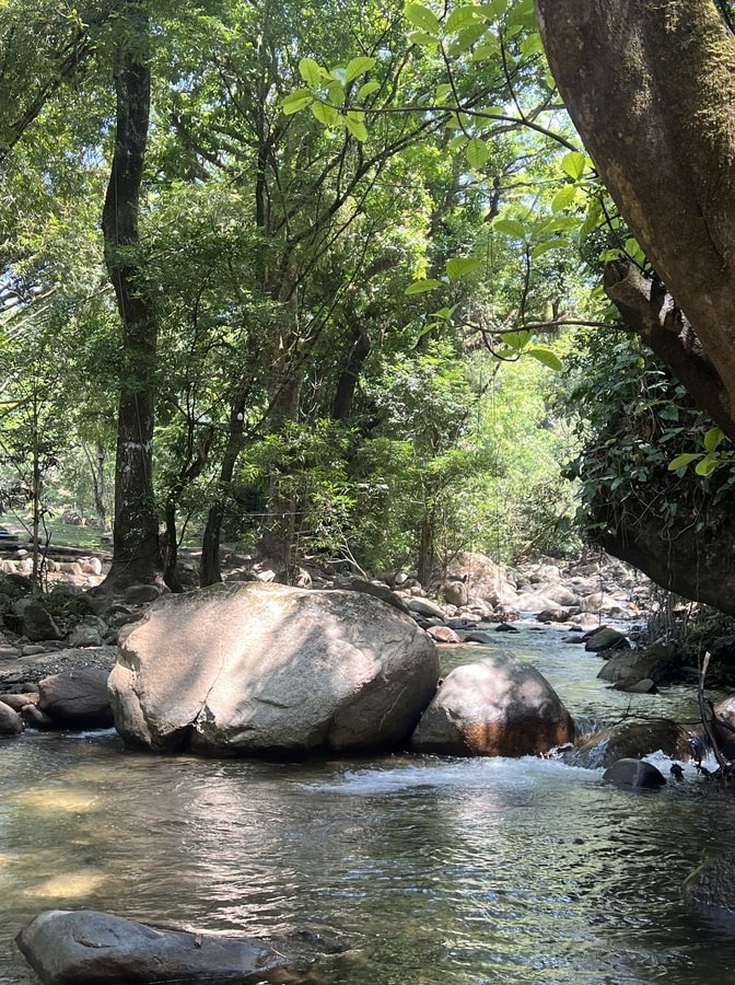 photo of rocks in the river in minca with trees covering the river