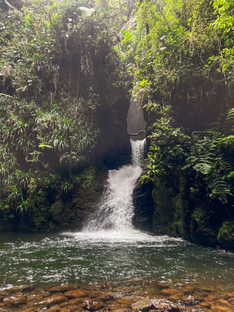 photo of a waterfall with greenery surrounding the waterfall