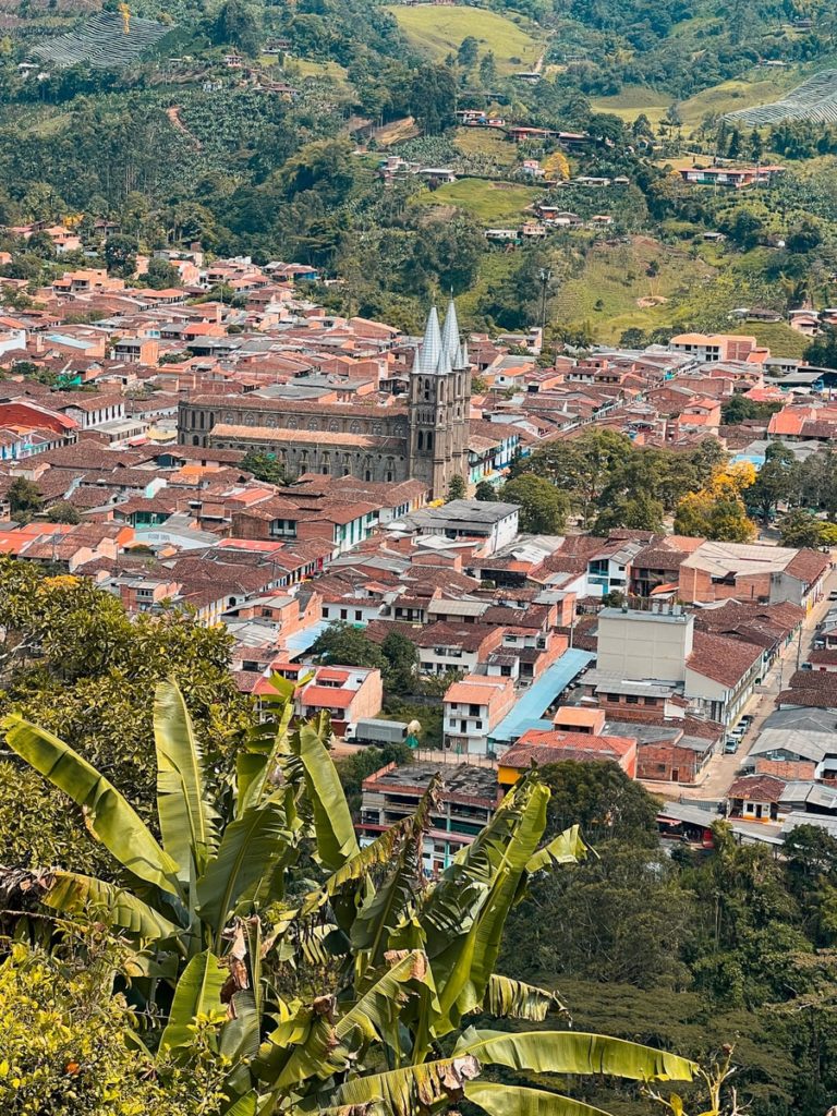 photo of a town from a viewpoint above, with a catherdal standing out and some banana trees in the foreground