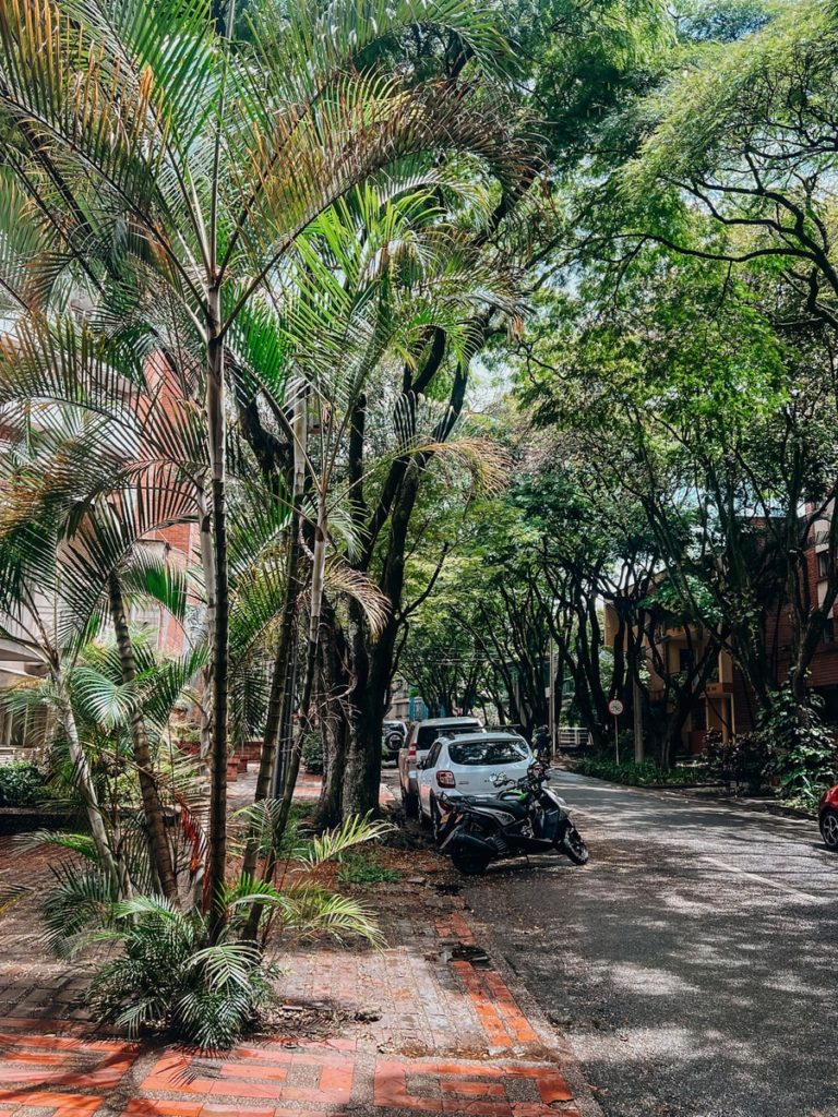 photo of street in laurels medellin, covered by shrubbery and a few cars in the background