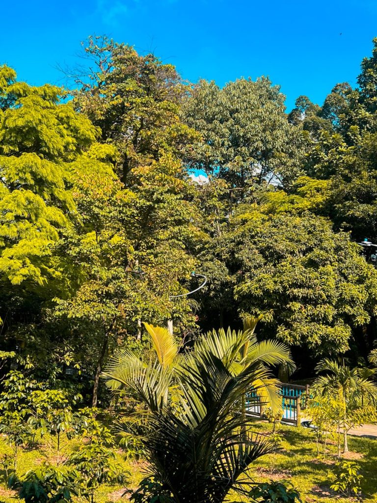 photo of park in poblado neighbourhood of medellin