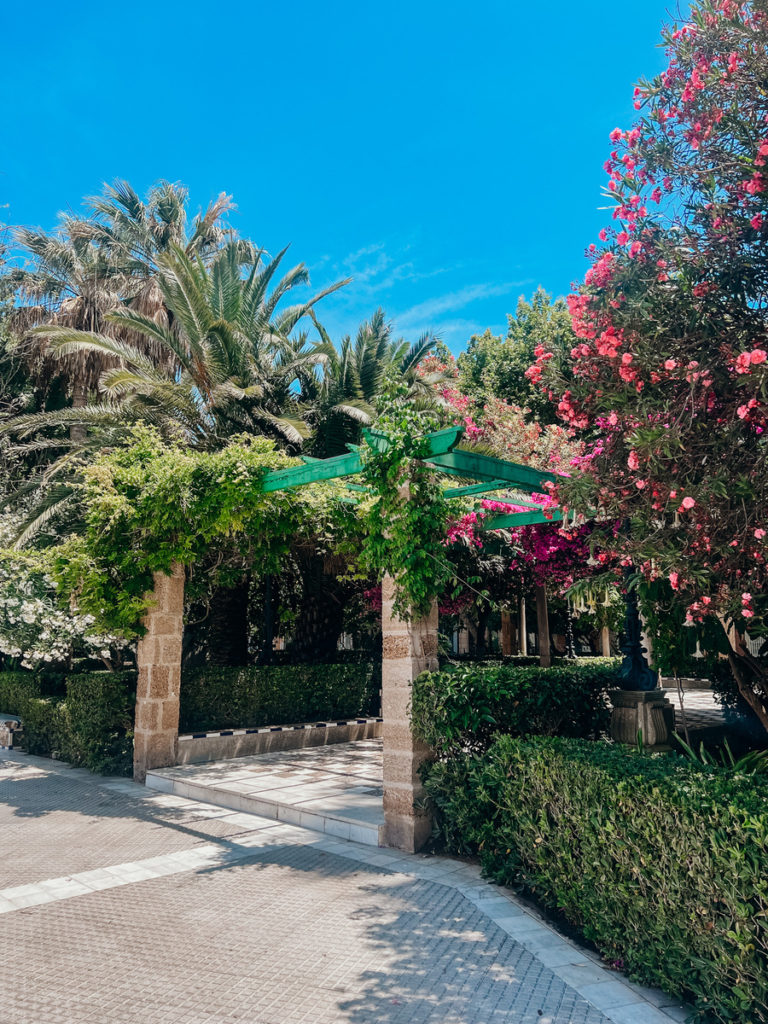 photo of flower gate in park in Cádiz