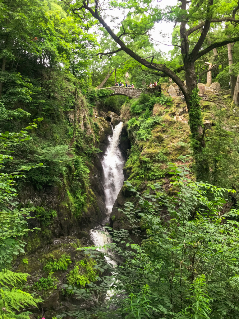 aria force waterfall surrounded by foliage and trees, with a bridge over the top of waterfall