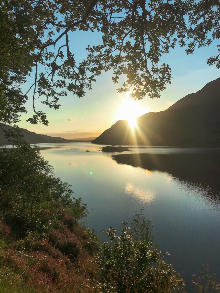 sunrise over ullswater lake, with shrubbery and trees in the foreground