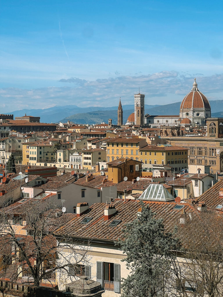 photo overlooking the city of Florence with the Cathedral of Santa Maria del Fiore in the background