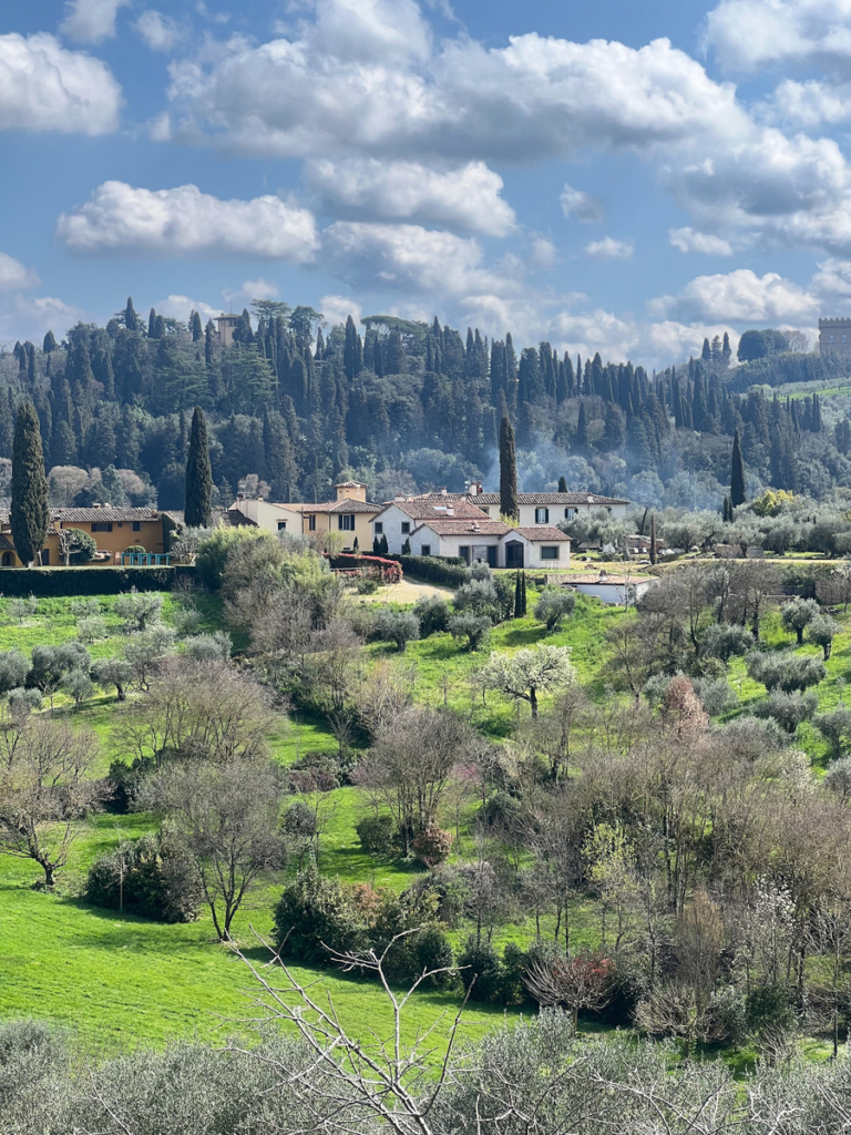 View of fields, a few tuscan villas and trees from boboli gardens florence