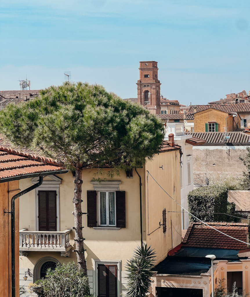 photo of streets of Pisa from the Pisa city walls